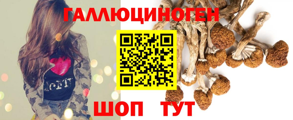 Псилоцибиновые грибы Magic Shrooms  Псилоцибиновые грибы GOLDEN TEACHER  Вход с VPN  Менделеевск 